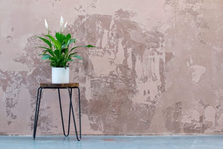 pièce lumineuse avec ses murs blancs, avec une chaise et un escabeau pour les travaux